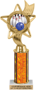 10.5 inch Color Insert Trophy w/ Column