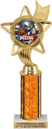 10.5 inch Color Insert Trophy w/ Column
