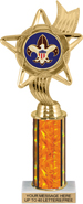 10.5 inch Color Insert Trophy w/ Column