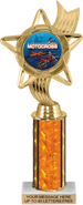 10.5 inch Color Insert Trophy w/ Column