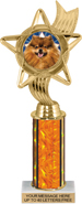 10.5 inch Color Insert Trophy w/ Column
