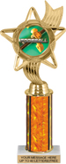 10.5 inch Color Insert Trophy w/ Column