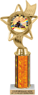 10.5 inch Color Insert Trophy w/ Column