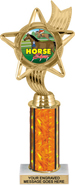 10.5 inch Color Insert Trophy w/ Column