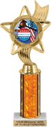10.5 inch Color Insert Trophy w/ Column