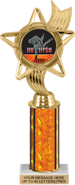 10.5 inch Color Insert Trophy w/ Column
