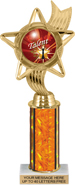 10.5 inch Color Insert Trophy w/ Column