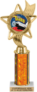 10.5 inch Color Insert Trophy w/ Column