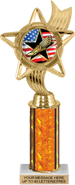 10.5 inch Color Insert Trophy w/ Column