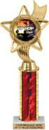 12.5 inch Color Insert Trophy w/ Column