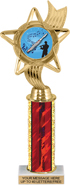 12.5 inch Color Insert Trophy w/ Column