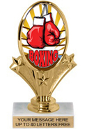 Oval-Shaped Color Insert Trophy