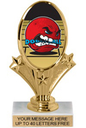 Oval-Shaped Color Insert Trophy