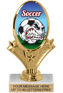Oval-Shaped Color Insert Trophy