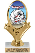 Oval-Shaped Color Insert Trophy