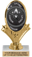 Oval-Shaped Color Insert Trophy