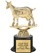 Trophy: Figure on black weighted base [7 inch]