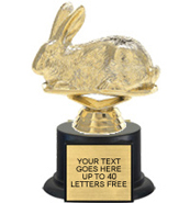 Trophy: Figure on black weighted base [7 inch]