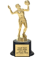 Trophy: Figure on black weighted base [7 inch]