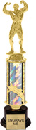 12 inch Shooting Star Column Riser Trophy