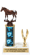 11 inch Trophy with 1 Trim