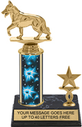 12 inch Trophy with 1 Trim
