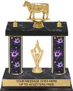 13 inch Two-Post Trophy