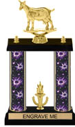 13 inch Two-Post Trophy