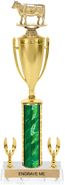 17 inch Trophy with Cup & 2 Trims