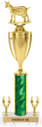 17 inch Trophy with Cup & 2 Trims