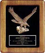 Plaque with Black Velour and Eagle Casting [14 x 17 inch]