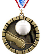 Volleyball 3D Rubber Graphic Medal [2 inch]