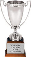 Silver Metal Open Top Cup [14 inch]