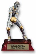 Volleyball Signature Series Resin Trophy - Male [6 inch]