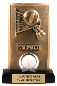 Volleyball Spinning Resin Trophy [6.5 inch] large