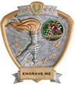 Sport Legend Shield- Victory Insert Award