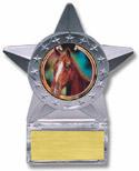 Krystal Clear Star Ice Award w/ Insert