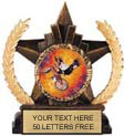 Insert Award Star Resin