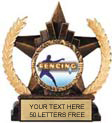 Insert Award Star Resin