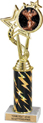 10.5 inch EXCLUSIVE Color Insert Trophy w/ Column