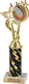 10.5 inch EXCLUSIVE Color Insert Trophy w/ Column