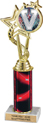 10.5 inch EXCLUSIVE Color Insert Trophy w/ Column