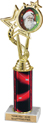EXCLUSIVE Color Insert Trophy w/ Column