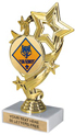 4 Star Color Insert Trophy