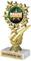 7 inch Star Frame Color Insert Trophy