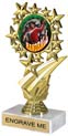7 inch Star Frame Color Insert Trophy