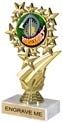 7 inch Star Frame Color Insert Trophy