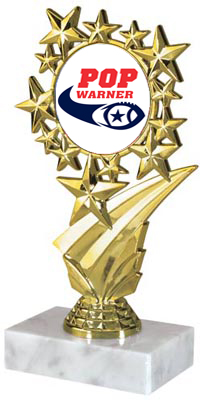 Star Frame Color Insert Trophy