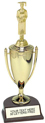 Gold Plastic Cup