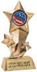 Shooting Star Insert Resin